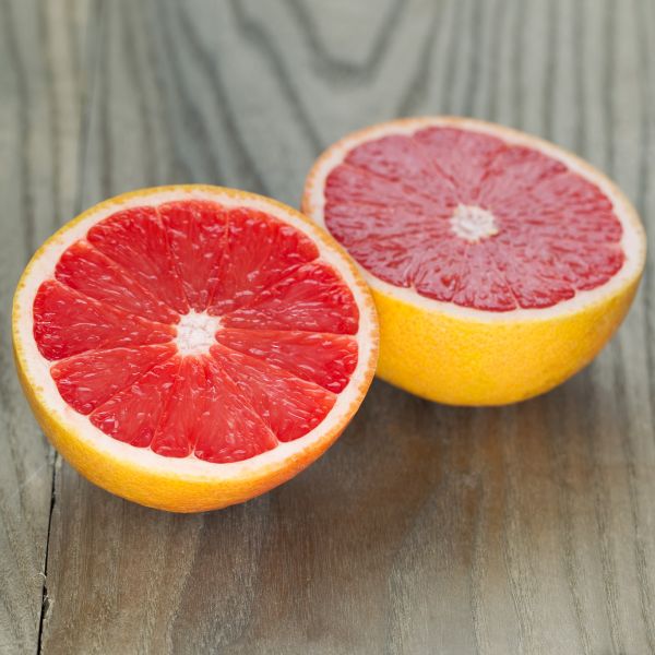 Ruby Red Grapefruit Ripe Grapefruit Ruby Red – Swiss Rose Garden Nursery