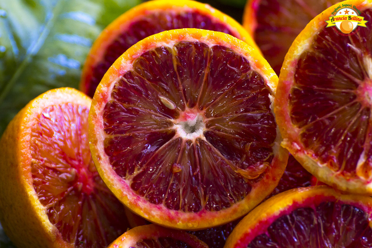 Blood Orange Tarocco Rosso - dwarf – Swiss Rose Garden Nursery